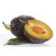 Italian Plum Whole Fruit Balsamic Vinegar ***PRICES REFLECT 50PCT DISCOUNT FOR OUR END OF BARREL AND WINTER WHITE SALE***