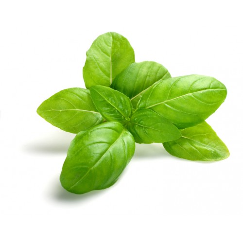 Basil - Flavoured Olive Oil